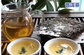 一品普洱茶2007生茶，品味历史，探索口感：一品普洱茶2007生茶的魅力