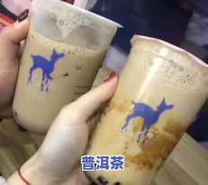 小鹿茶的价格：贵还是不贵？全面解析