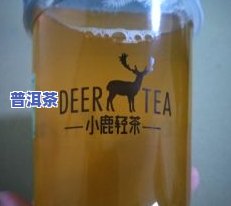 茶小鹿普洱茶-小鹿茶叶