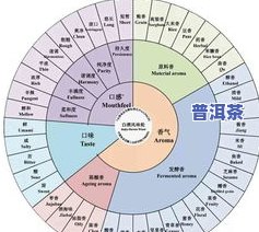 普洱茶风味构成比例图解-普洱茶风味构成比例图解大全