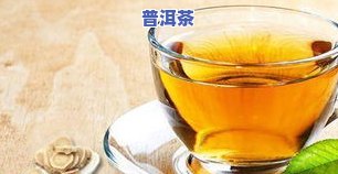 湿热体质适合饮用陈皮泡水吗？