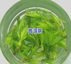 高山绿水茶叶的功效：揭示其神奇作用与健康益处