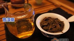 云南古树茶属于什么茶类-云南古树茶的特点与好处