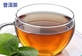 茶叶更好喝的什么茶-茶叶更好喝的什么茶