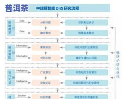 深入解析：茶与普洱茶的关系及其区别