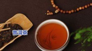 性价比高的茶叶品种排行榜：最新十大热门品种推荐