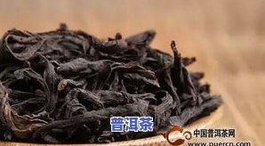 普洱口粮茶一般多少价位一斤？求推荐