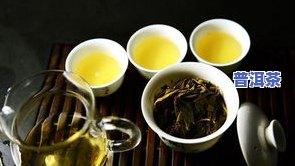 普洱茶上树摘茶好吗，探究：普洱茶上树摘茶是否可行？