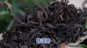 冰岛古树熟茶有哪些品种，探索冰岛古树熟茶的多样品种