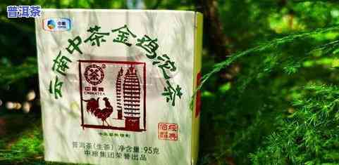 清风上品普洱茶沱茶：价格与介绍