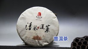 清风普洱茶生茶-清风普洱网