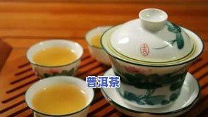 冰岛茶的功效与禁忌-冰岛茶的功效与禁忌是什么