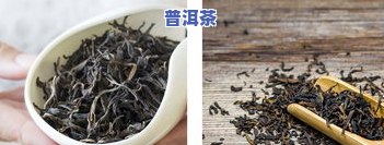 普洱生茶好差怎样区分？哪个口感更佳？