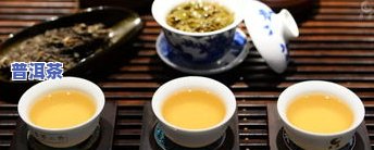 招购买普洱茶制茶-招购买普洱茶制茶师傅