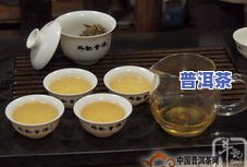 斗记普洱茶官网，探索优质普洱茶的世界：斗记普洱茶官网