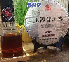 普洱茶饼铁盒透明的是什么-普洱茶饼铁盒透明的是什么茶