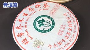 今大福普洱茶怎么样？口感怎样？客户评价分享