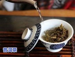 普洱茶小金块怎么泡的好喝-普洱茶小金块怎么泡的好喝一点