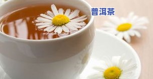 菊花普洱茶味道苦吗为什么-菊花普洱茶味道苦吗为什么呢