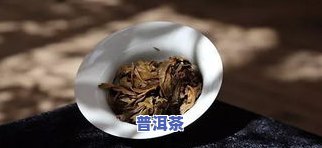 勐腊县普洱茶有些什么-勐腊 普洱茶