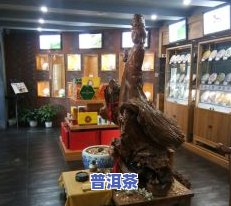 大益普洱茶专卖店图片及价格，一站式购享！大益普洱茶专卖店图片及价格全览