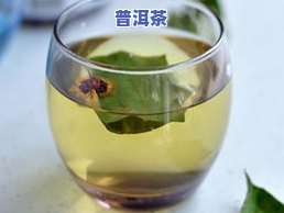 荷叶茶与普洱茶：谁是减肥效果之王？权威排行榜揭秘！