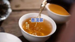 新一叶普洱茶产地，探索新一叶普洱茶的故乡——揭秘其独特产地