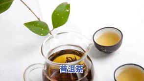 什么季节的茶叶好喝呢，寻找好喝的季节茶：哪种茶叶在哪个季节最美味？