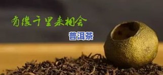 青桔普洱茶的好处与副作用，青桔普洱茶：探索其益处与潜在风险