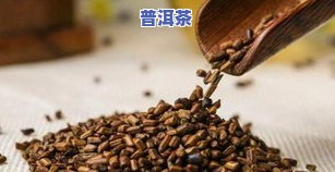 决明子喝普洱茶的功效、作用及禁忌全解析