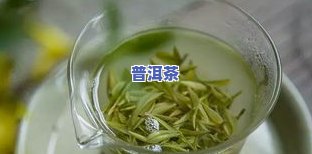 贵州老树茶绿茶怎么样？口感如何，值得一试吗？