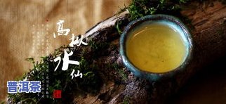 四川哪种茶叶最有名，探寻四川茗茶：哪种茶叶最负盛名？