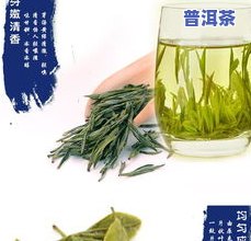 茶芽和茶叶哪个好喝-茶芽和茶叶哪个好喝一点