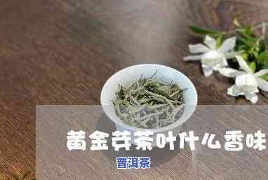 茶芽和茶叶哪个好喝-茶芽和茶叶哪个好喝一点