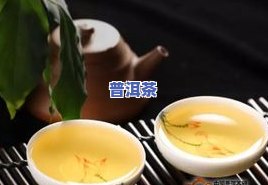 普洱茶煮法视频教程：详细步骤与技巧