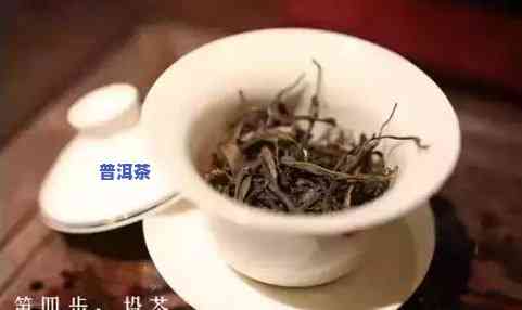 普洱茶茶冲泡的详细步骤与方法