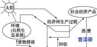 生普怎样判断好坏，怎样鉴别生普的好坏：关键因素与技巧解析