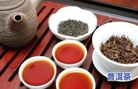 福建高端的普洱茶饼有哪些，探寻福建高端普洱茶饼，品味茶香人生