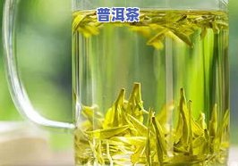 茉莉配什么茶叶好喝一点？详询茶叶搭配建议！