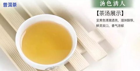 茉莉茶叶怎么泡好喝-茉莉茶叶怎么泡好喝一点