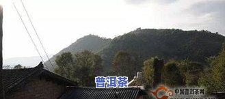 大新寨普洱茶价格表及图片-大新寨普洱茶价格表及图片