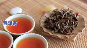 甘肃普洱茶介绍资料简短-甘肃产茶叶