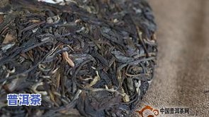 凤庆普洱茶的历史简介图片大全，探索千年古韵：凤庆普洱茶历史简介及精美图片大赏