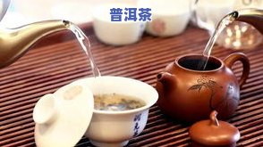 普洱茶孔雀圆茶的更佳冲泡方法与技巧