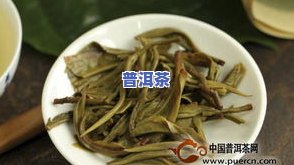 普洱茶有股青草味？如何处理新茶的青草味？原因解析