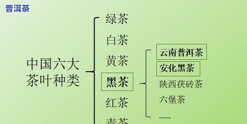 普洱茶发酵工艺流程，深入解析：普洱茶的发酵工艺流程