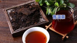 第六代普洱茶产地，探索第六代普洱茶的神秘产地