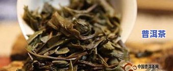 生的普洱茶能喝吗，探讨：生的普洱茶是不是适合饮用？