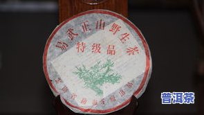 老茶普洱茶直播-老茶普洱茶直播视频