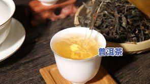 普洱茶生态古茶-普洱茶生态古茶的特点